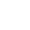 Fast Ez Icon 5