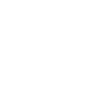 Fast Ez Icon 6